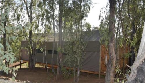 Tent