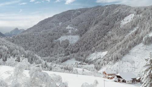 Two-Bedroom Apartment with River View