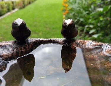 Quadruple Room with Garden View