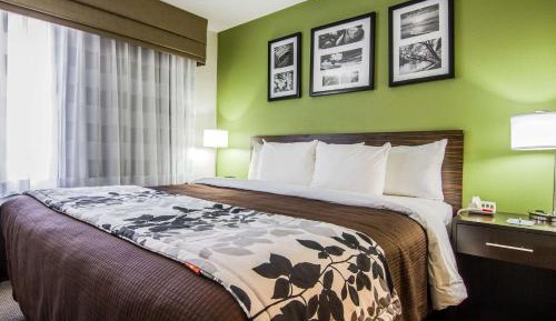 King Room with Roll-In Shower - Accessible/Non-Smoking