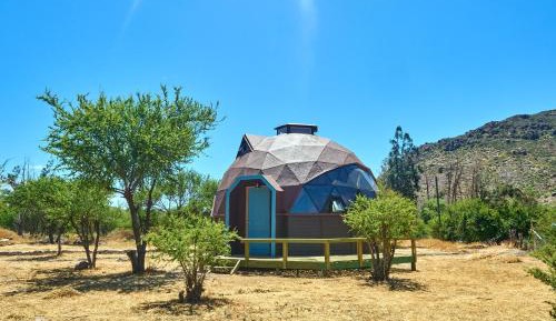 One-Bedroom Bungalow