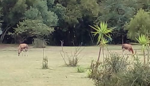 Empty Lot