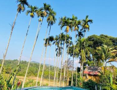 Deluxe Double Room (2 Adults + 1 Child)