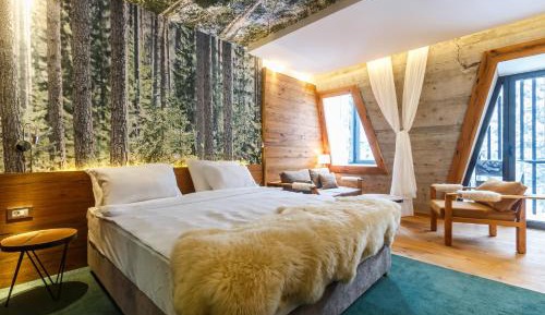 Superior Double or Twin Room