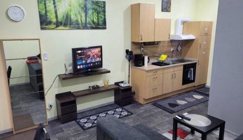 Superior One-Bedroom Apartment