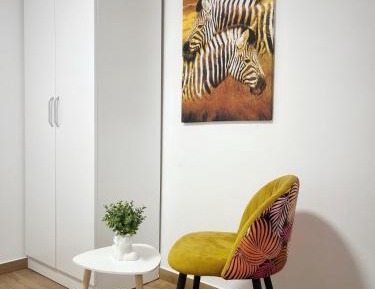 Studio Apartment with King Bed