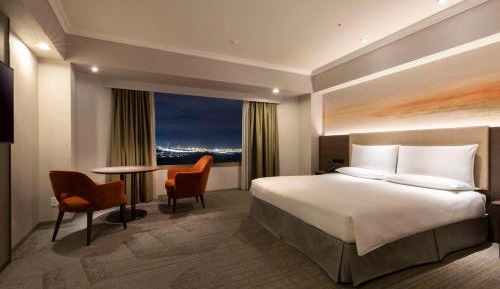 Deluxe Superior Queen Room - Airport View
