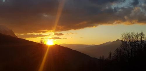 Triple Room with Shared Bathroom