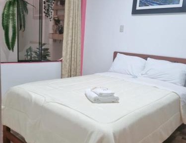 Economy Single Room