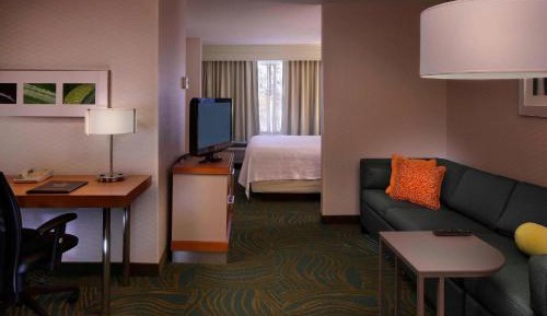 One-Bedroom King Suite