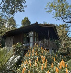 Family Jungle Ecolodge