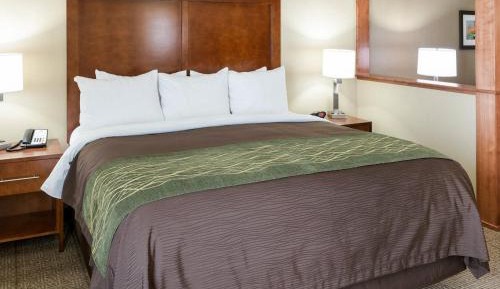 King Suite with Sofa Bed - Non-Smoking