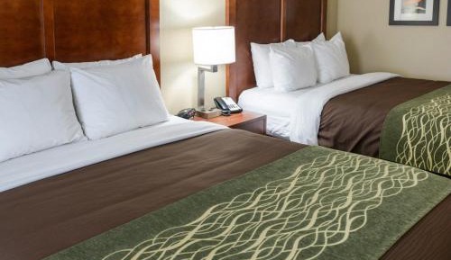 Queen Suite with Sofa Bed - Non-Smoking