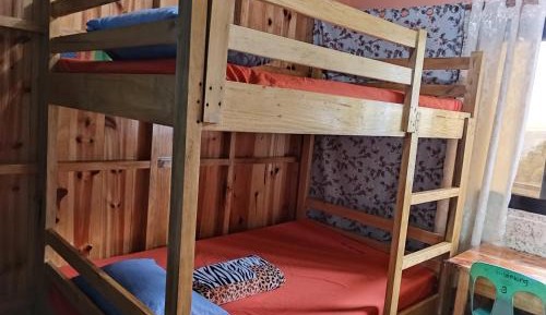 4-Bed Mixed Dormitory Room