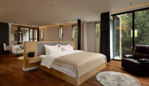 King Room with Mountain View