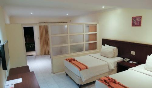 Deluxe Double or Twin Room