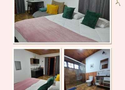 One-bedroom Loft Apartment 