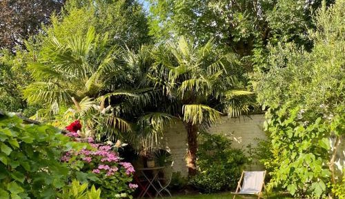Double Room (1 Adult)