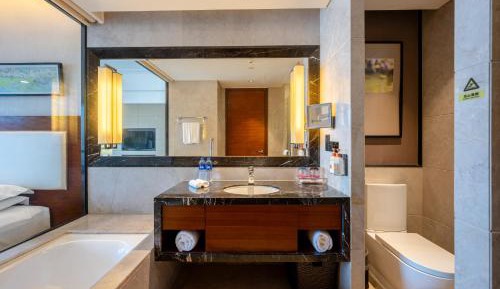 Standard King Room with City View - Lounge Access