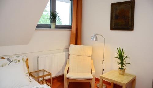King Room with Garden View