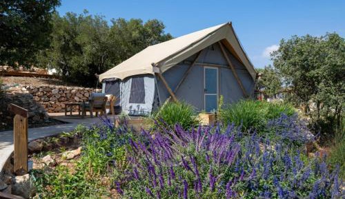 Forest Glamping