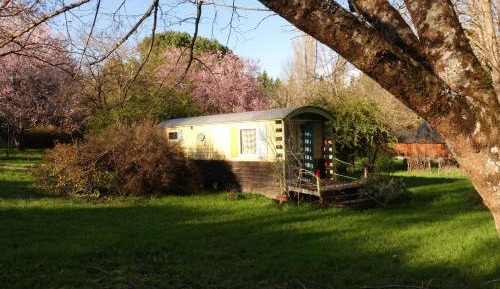 Bungalow with Garden View