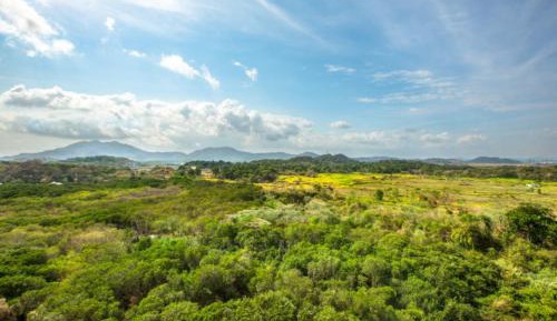 Deluxe, Guest room, 2 Queen, Garden view