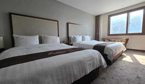 Family Twin Room