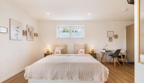 Superior One-Bedroom Apartment