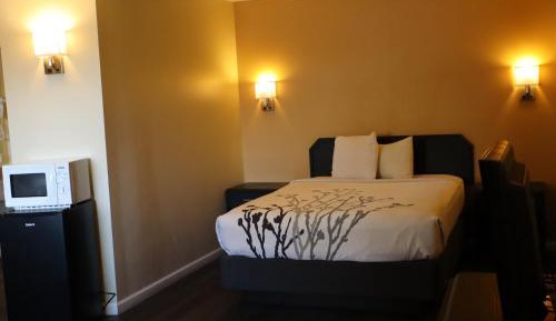 Queen Suite