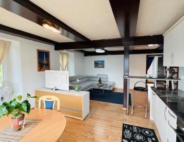Apartment with Lake View