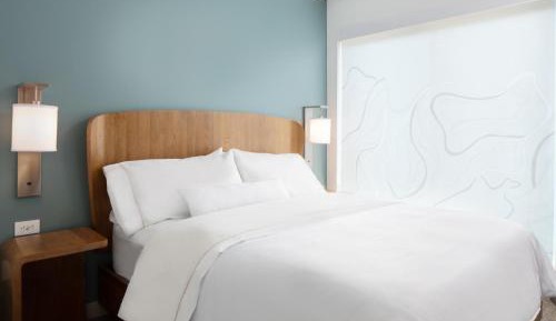 1 Bedroom Suite, 1 King, Sofa bed