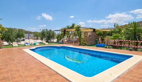 Superior Apartment with City View