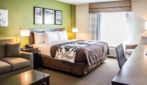 King Suite with Sofa Bed - Non-Smoking