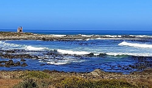 Apartment with Garden View