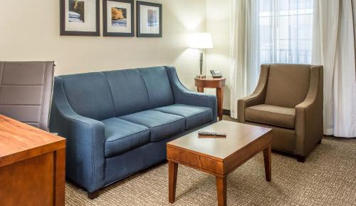 One-Bedroom King Suite