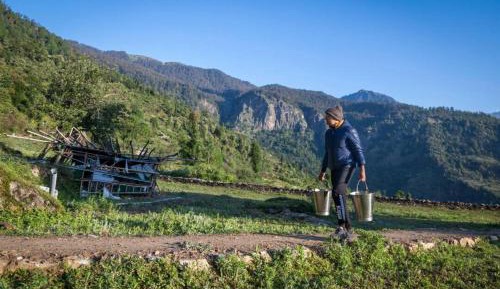 Bed in 8-Bed Mixed Dormitory Room