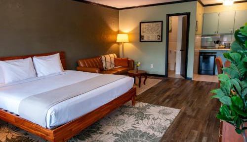 King Room with Pool View