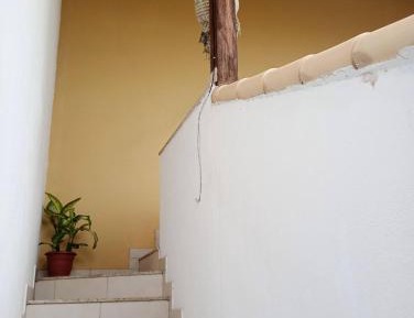 Suite with Garden View