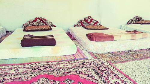 Mixed Dormitory Room