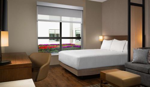 King Suite with Sofa Bed and Roll-In Shower - Disability Access