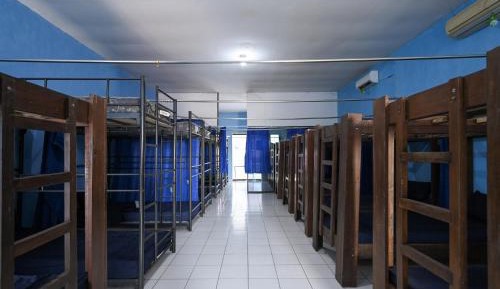 Bunk Bed in Mixed Dormitory Room