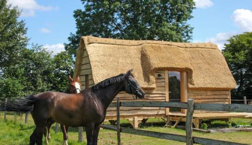 Mobile Home