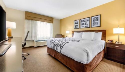 Standard King Room - Non-Smoking 