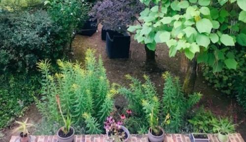 Triple Room with Garden View