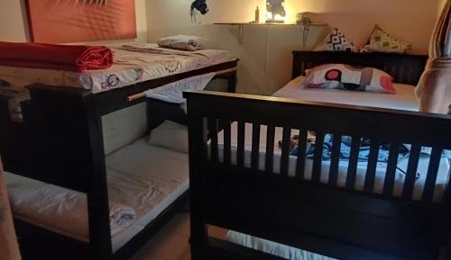 Single Bed in Mixed Dormitory Room