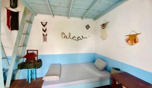 Single Bed in Mixed Dormitory Room