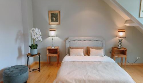 Deluxe Family Suite