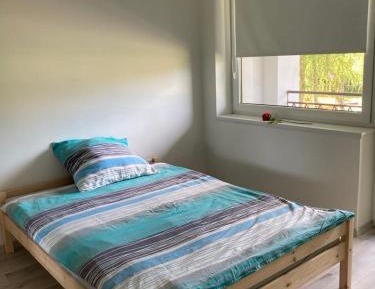 Large Single Room