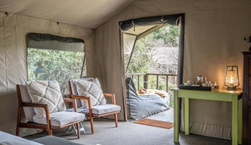 Tent